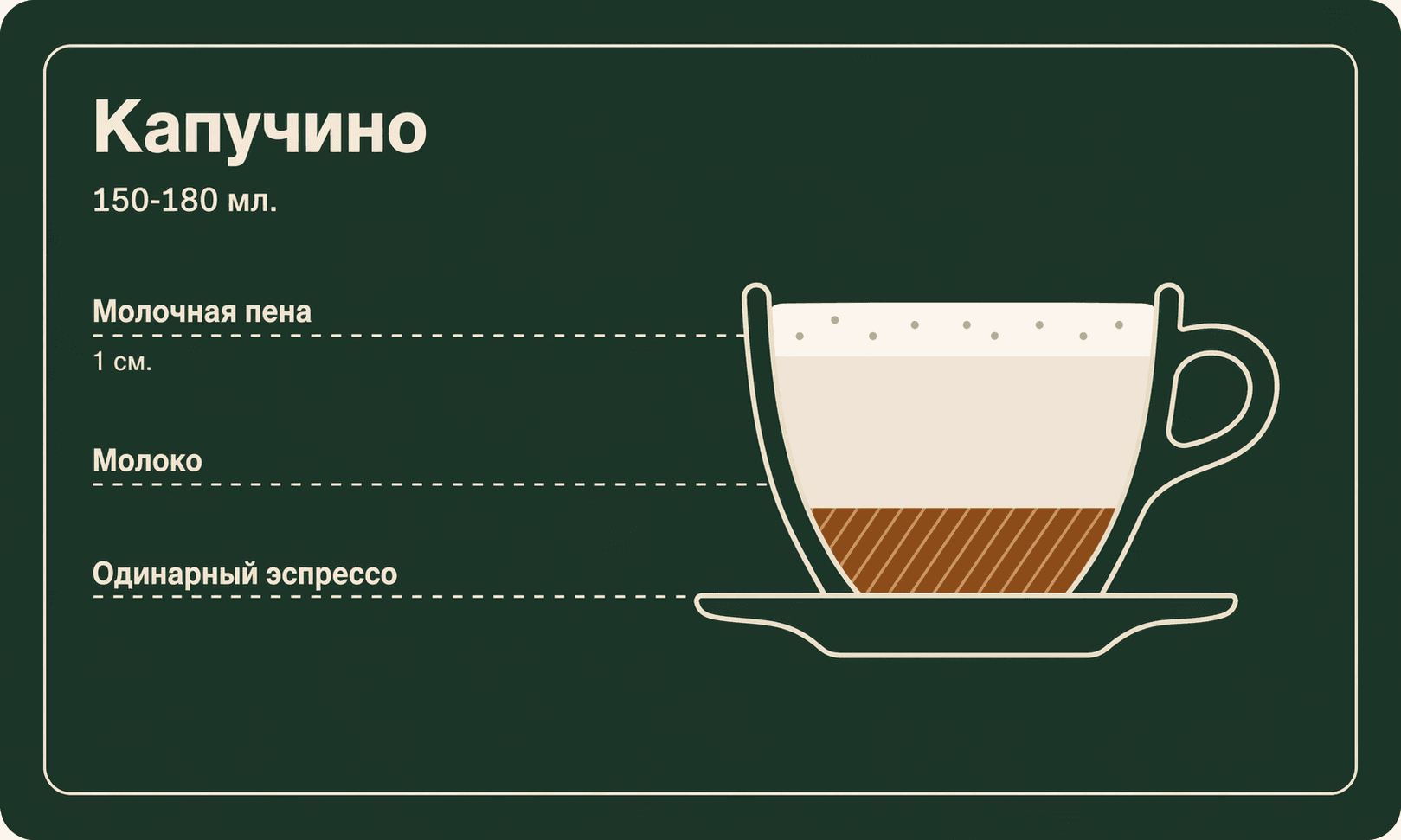 Инфографика со слоями капучино: пена, молоко и одна порция эспрессо