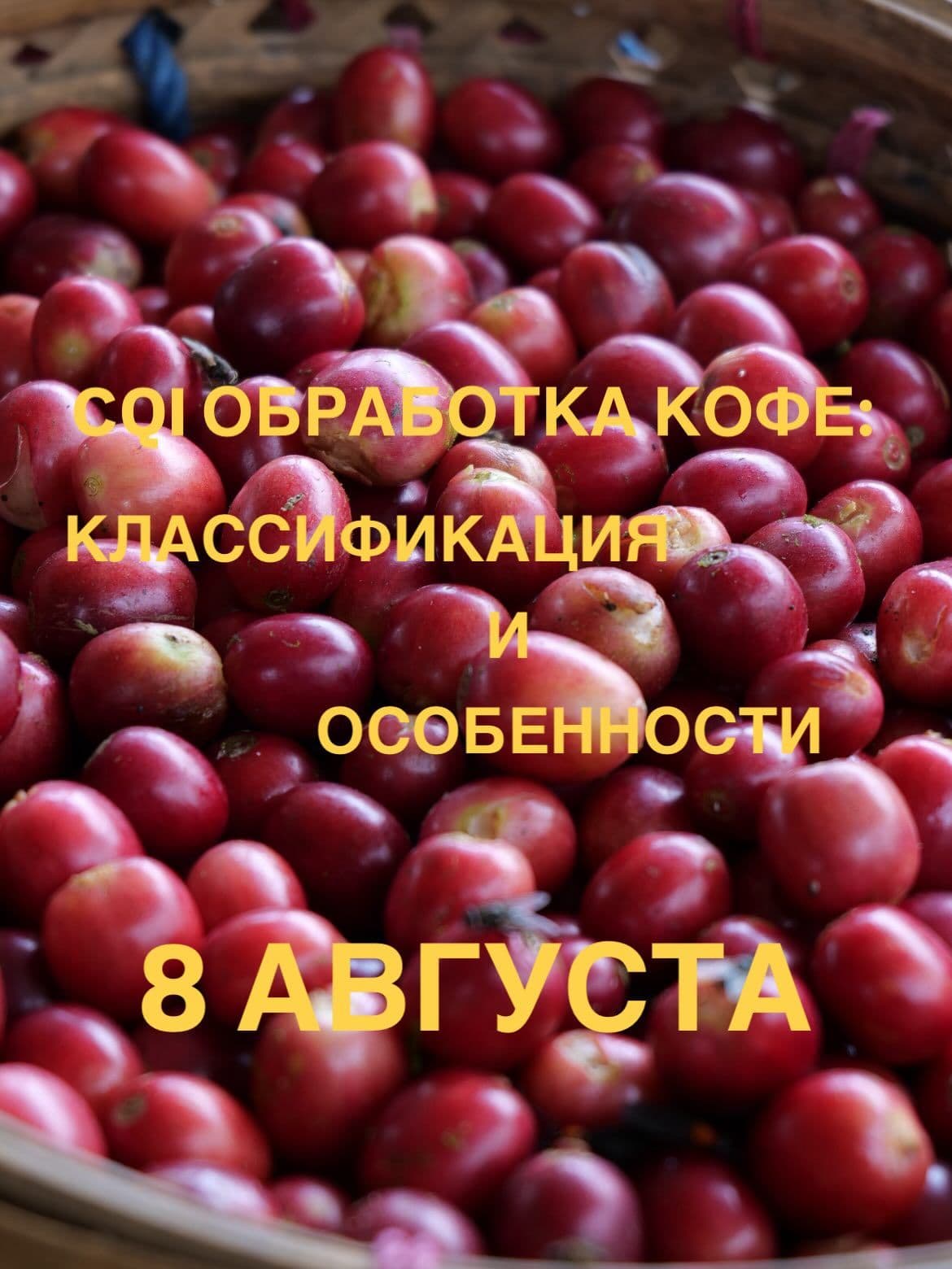 Курс CQI «Кофе процессинг: классификация и особенности»