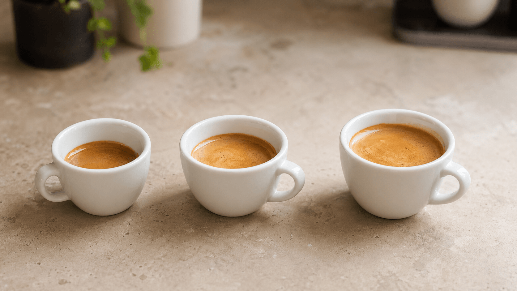 Эспрессо, ристретто и лунго: чем отличаются напитки