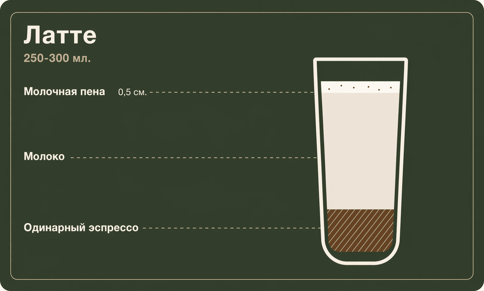 Инфографика со слоями латте: тонкая пена, основной объём молока и одна порция эспрессо