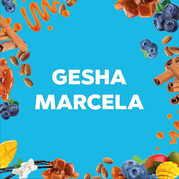 Дрип-пакет Колумбия Gesha Marcela — кофе от Daloni, Колумбия
