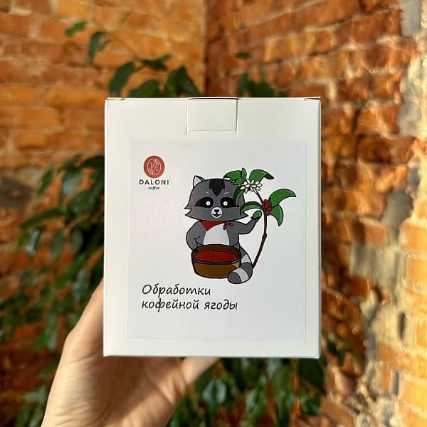 Обработки кофейной ягоды — кофе от Daloni