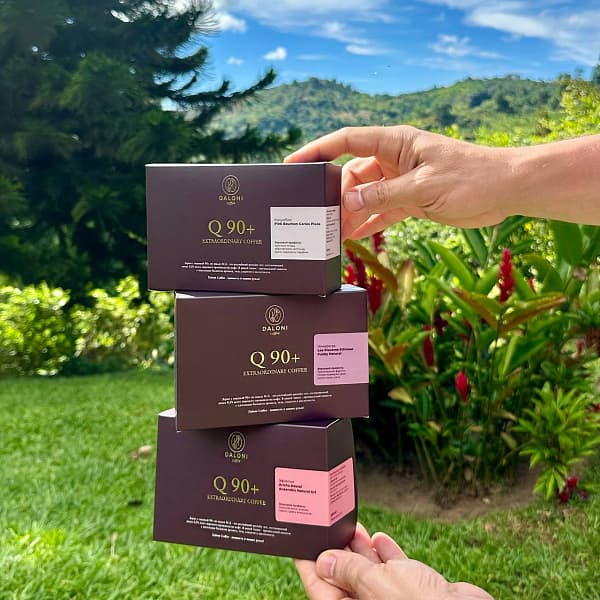 Q90+ Extraordinary Coffee сет из 3 видов — кофе от Daloni, Эфиопия