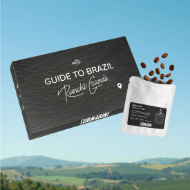 GUIDE TO BRAZIL - ЗЁРНА — кофе от Submarine, Бразилия