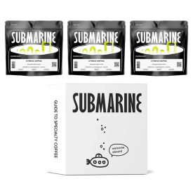 Сэмпл-Бокс Espresso — кофе от Submarine