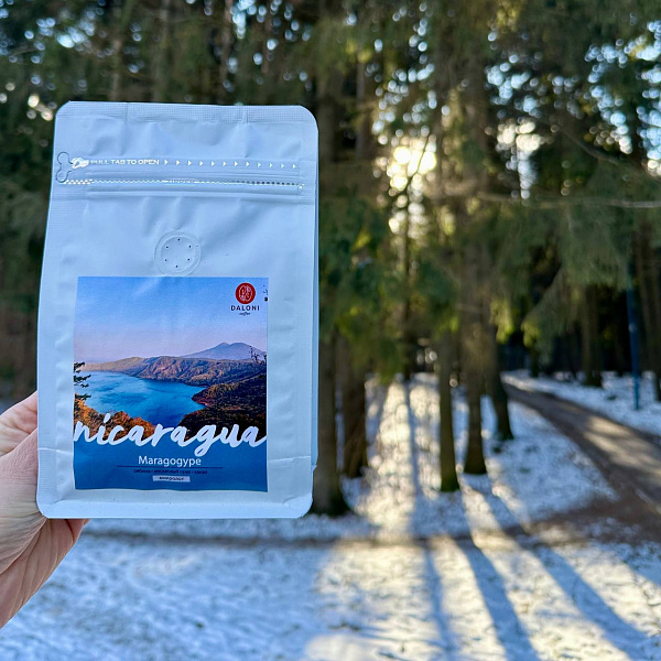 Никарагуа Maragogype